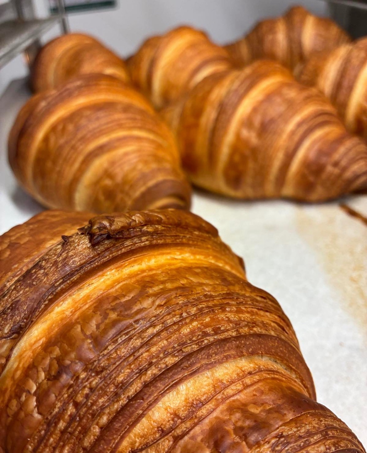 Fresh croissants