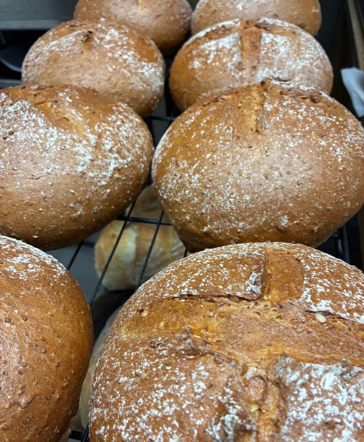 Artisan bread loaves